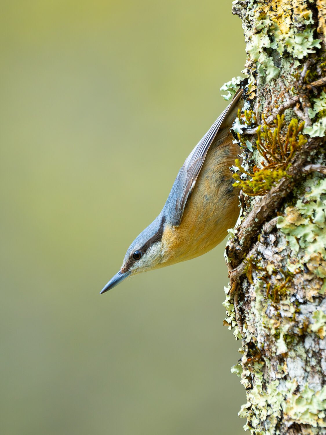 p4160005 enhanced nr