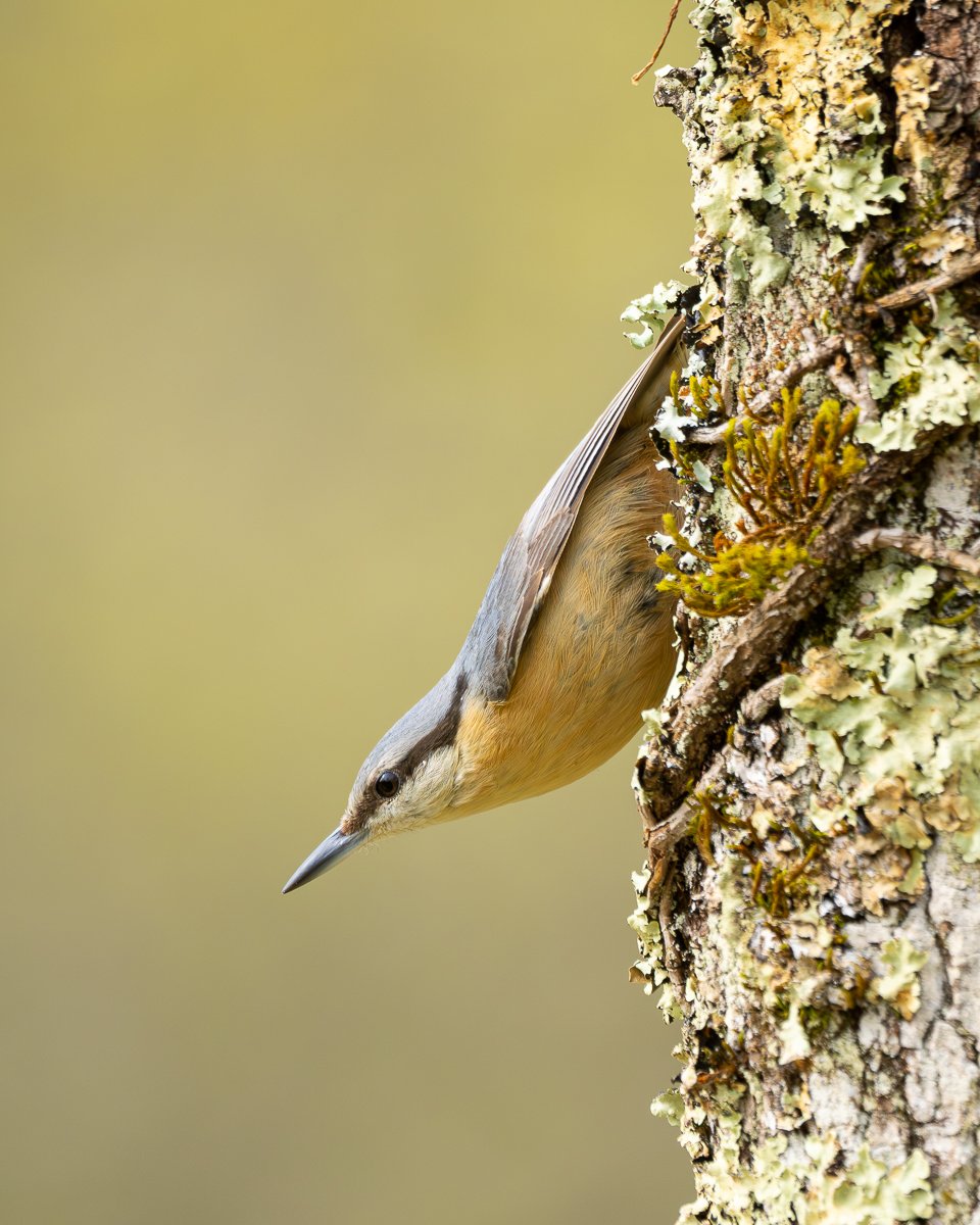 p4160005 enhanced nr