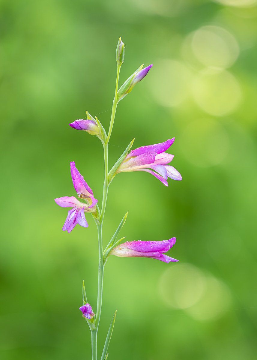 p6020034 edit p6020034 edit