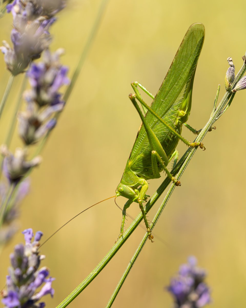 p7090080 enhanced nr p7090080 enhanced nr