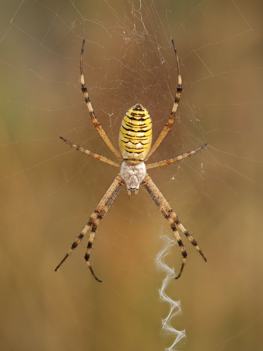 p8200353 2 p8200353 2