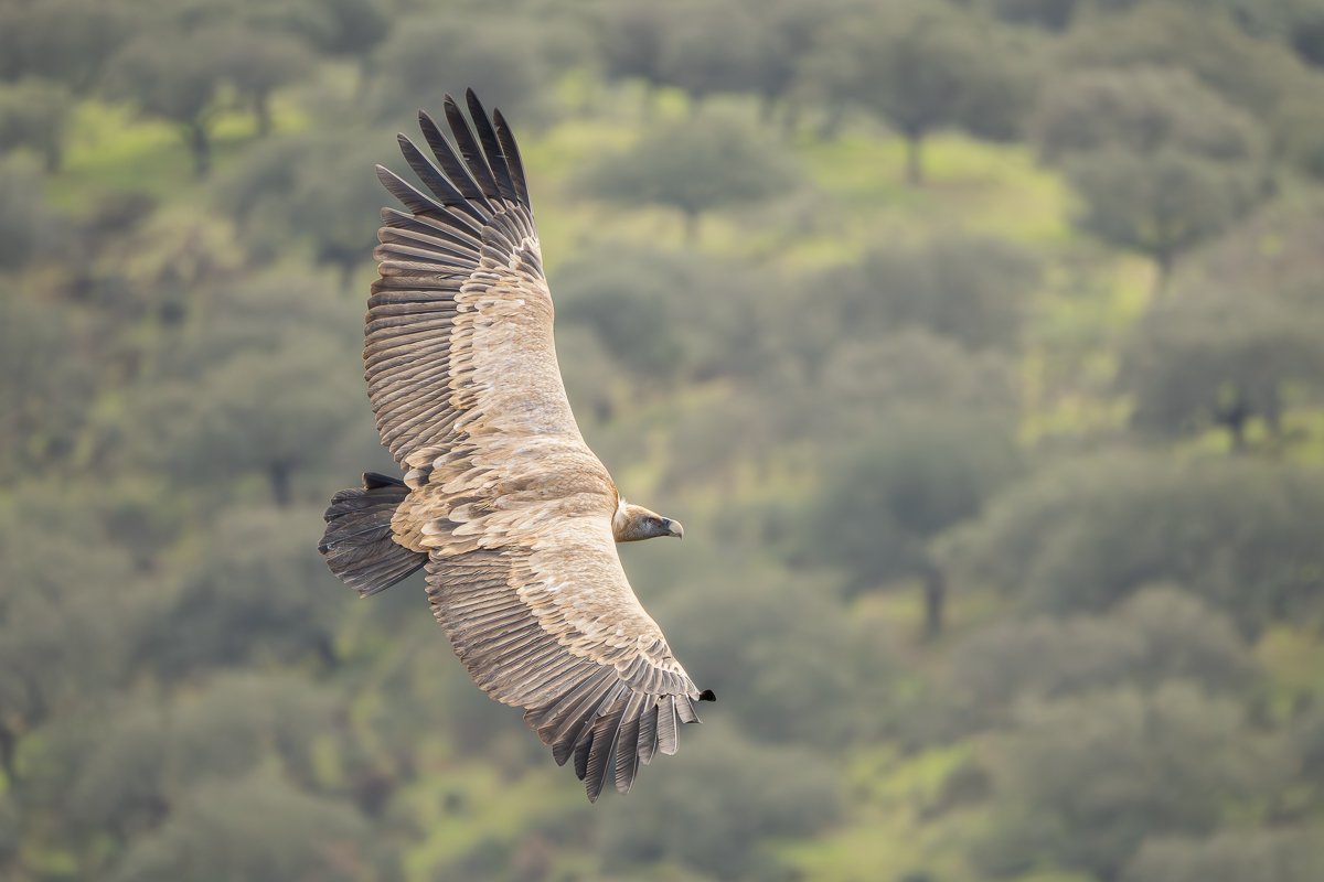 pb080513 enhanced nr