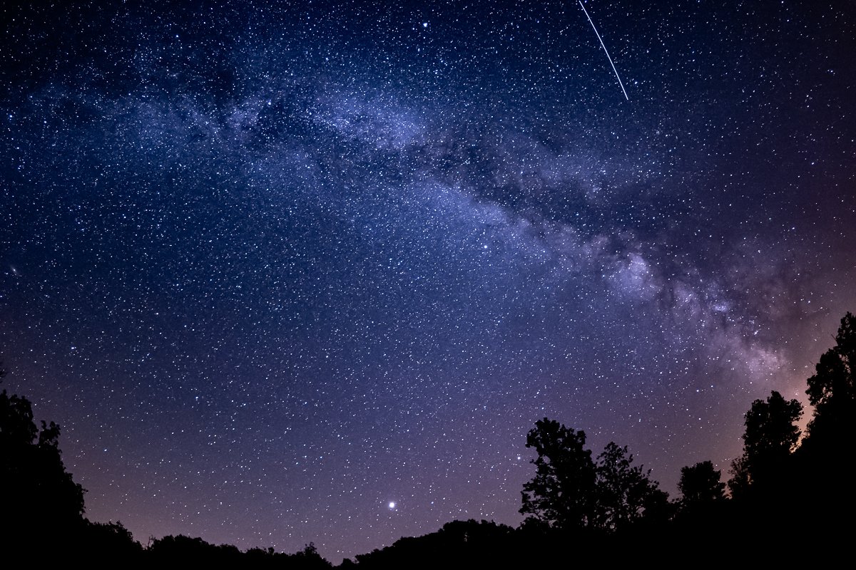 A Red Squirrel by Simon Phillpotts at Quercy Photo Holidays, Lot, France